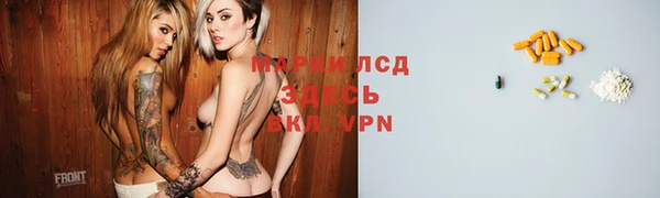 стафф Верхний Тагил