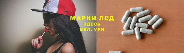 трава Богородицк